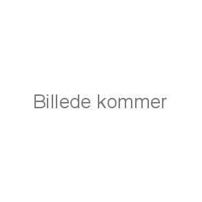 Vådfoder til kat